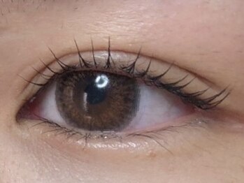 ウルカ アイラッシュ(uruka EYELASH)/ラッシュリフト