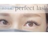 【持ち×濃さ自信あり！】特許技術perfectlash☆お試し80束　¥8,900