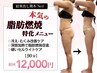 【太もも、ヒップまわり】本気の痩身・脂肪燃焼特化コース  90分¥12,000