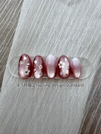 Spring design standard