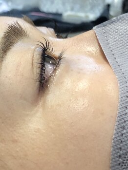 ピクシーボブ(Pixie Bob)/ドーリーリフト☆直角カール!