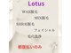 ロータス(Lotus)の写真