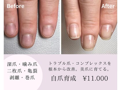 アンベリール(embellir.)の写真