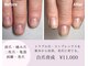 アンベリール(embellir.)の写真