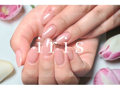 アイリス(iris)の写真