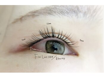 プルームミコ(Plume mico)/フラットラッシュ100本/&healthy