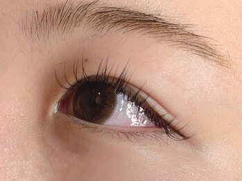 ウルカ アイラッシュ(uruka EYELASH)/フラットラッシュ 120本
