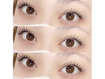 エックスオーラッシュ(XOXO LASH)/フラットラッシュ120本