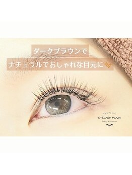 アイラッシュプラザ(EYELASH PLAZA)/120本　ダークブラウン