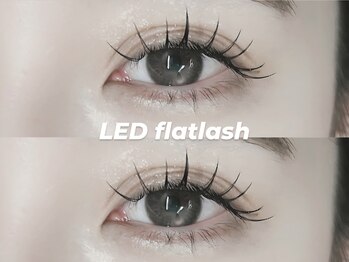 プラス ファースト(Plus 1st)/フラットラッシュ 80 by kimura