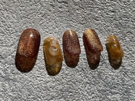ギャラクシーコレクション