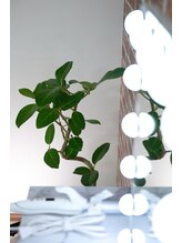 シーンスタジオ 三宮店(SSIN STUDIO)/まつ毛パーマ＆眉毛サロン　三宮