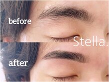 ステラ(Stella.)/メンズアイブロウ