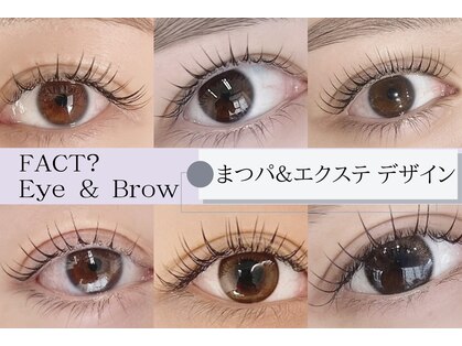 ファクト(FACT?)の写真