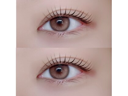 ニコラ(NICOLA)の写真