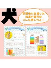 ブリエ(Briller)/ワンちゃんのカラー診断出来ます