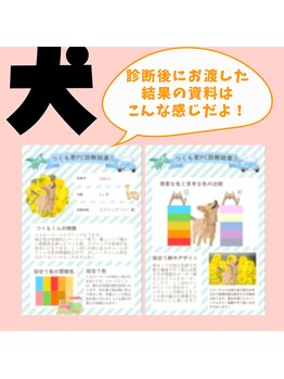 ブリエ(Briller)/ワンちゃんのカラー診断出来ます