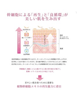 ココサロン(Coco Salon)/