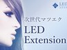 ご予定前の付け足しに◎  LEDエクステ30本～ 80本ご相談コース　