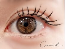 キャメル(camel)/【バインドロック】100束