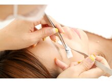 シュシュ(syusyu)/フラットラッシュ