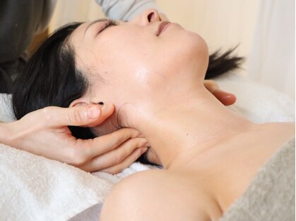 猫の手(ne.co.note)の写真