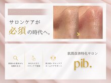 ピブ(pib.)