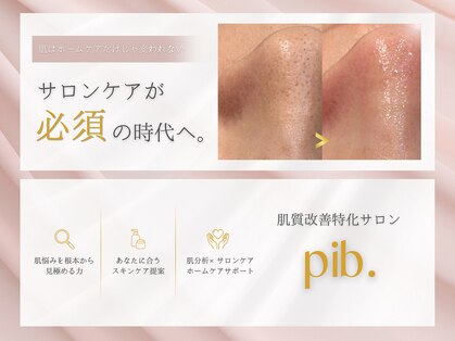 ピブ(pib.)の写真