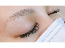 ラニン(Lanin)/フラットラッシュ１８０本