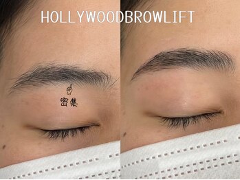 サロン ド ブランシェ(Salon de Branchee)/◇ハリウッドブロウリフト◇