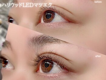 サロンドオリーブ エコールマミ店(Salon de Olive)/ハリウッドLED 6D  300本