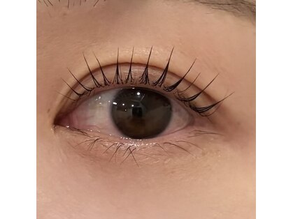ファボリ(FAVORI)の写真