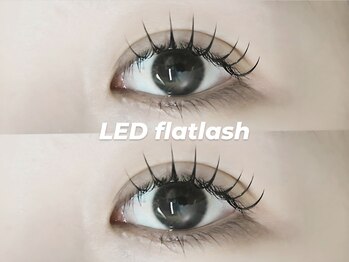 プラス ファースト(Plus 1st)/フラットラッシュ by kimura