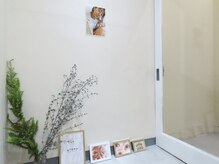 アテナ(ATENA)/入口