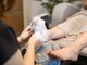 マーサネイル(Maasa nail)の写真
