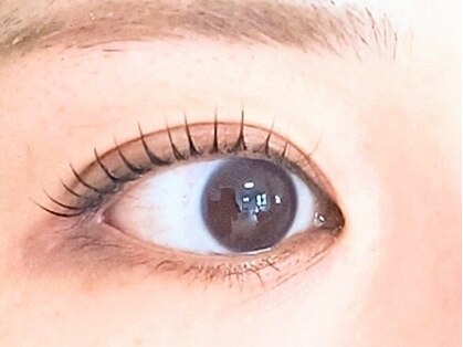 エクラ(Eclat)の写真