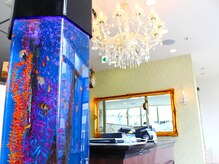 アイラッシュサロン セリナ 池袋店/店内雰囲気