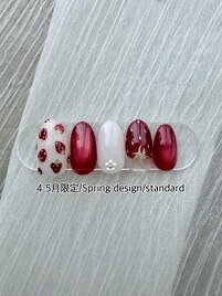 Spring design standard