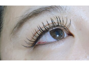 ラニン(Lanin)/フラットラッシュ180本