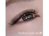 【限定50%オフ】PerfectLash180束¥15,050→¥7,525(目安シングル340本分)
