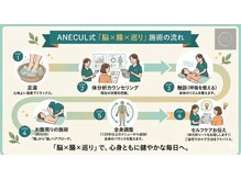 アネクル(ANECUL)の雰囲気（当店人気No.１のANECUL式「脳×腸×巡り」）