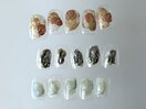 6月定額シンプルアート
