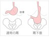 【初回限定】胃もたれ 胃痛改善クーポン10000円→9000円