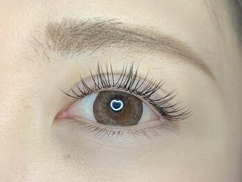 エム ラッシュ(M Lash)/フラット120本