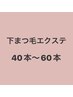 【下まつ毛エクステ】40～60 ¥3300