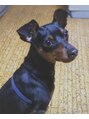 ゆいま～る 古正寺店 保護犬のBambiです。癒されません 笑 