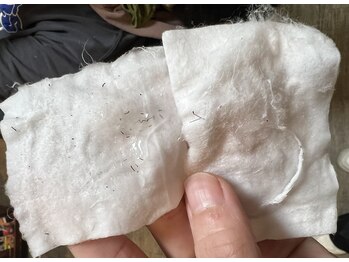 アッシュボウプラス(H.beau+)/新感覚ポロポロ現象