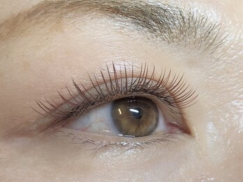 アイラッシュサロン シルシア(Cilsia)/ブラウンカラー　160本