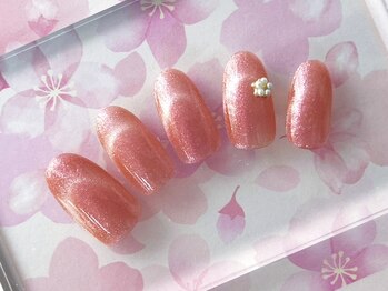 定額シンプルコース