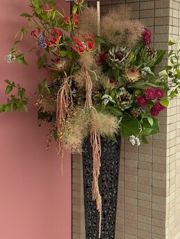 ハリファ鍼灸院 熊本光の森院(HariFa鍼灸院)/美容鍼